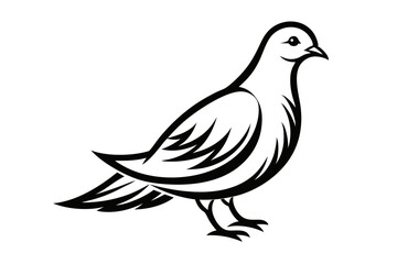 Fototapeta premium Elegant line art dove illustration isolated on transparent background