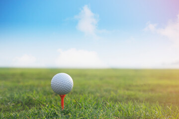 golf ball on tee in a beautiful golf course with morning sunshine.