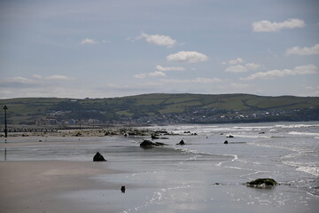 Naklejka premium the petrified forest reviled a few years ago on Borth beach, fossilised tree stumps poking out of the beach where an ancient forest used to be