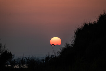 sunset in the mountains