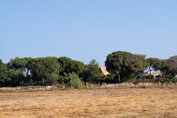 rural landscape with hay bales and tractor