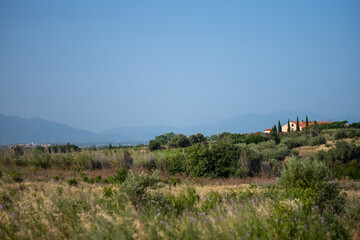 landscape with lavender fields