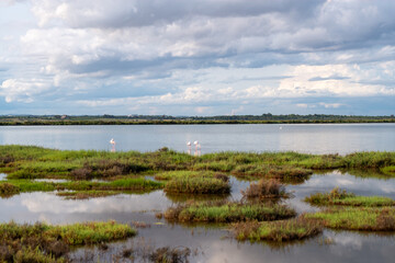 clouds over the river