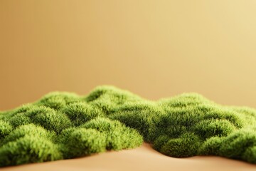 Detailed close-up view of a textured mossy surface.