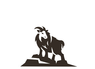 lion isolated on white background