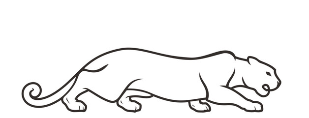 vector illustration of a polar bear