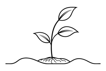 Continuous line art growing sprout plant design isolated on transparent background