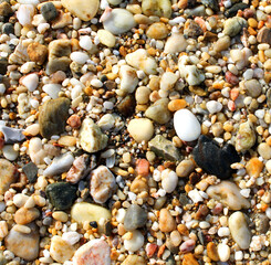 sea shells and sand