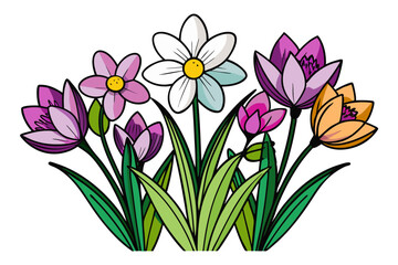 Spring blossom line art design isolated on transparent background