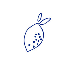 Hand Drawn Blue Lemon . Lime Line Art Illustration