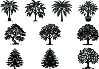 Collection of Twelve Silhouette Tree Illustrations Palm, Oak, Fir