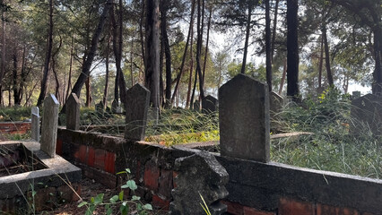 Gravestones in an old cemetery in a wooded area in Turkey.