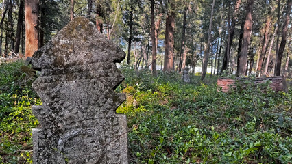 Gravestones in an old cemetery in a wooded area in Turkey.