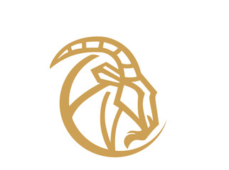 wheat ears vector illustration