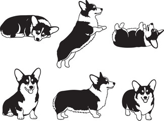 corgi puppy different poses illustration set 