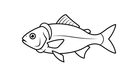 A simple black and white line drawing of a fish with fins and a tail on a white background image
