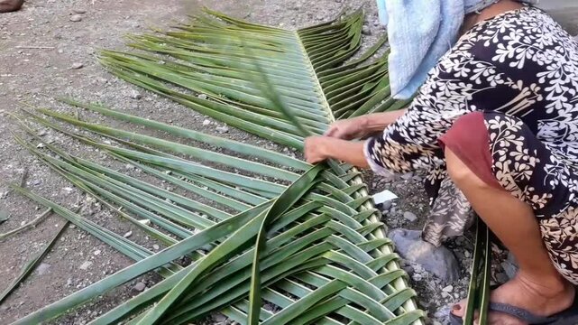 A woman's hands are braiding green coconut leaves. Coconut leaf weaving is usually used for simple needs such as mats, walls and others.