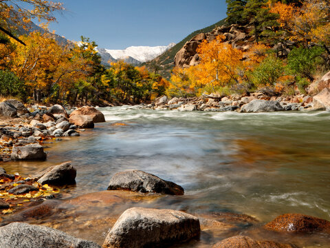  becoming less visible as the temperatures drop.
Overall, autumn in the mountains, streams, and forests is a season of vibrant visual beauty, a change in the rhythm of nature's sounds, and a flurry of