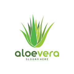 Aloe vera plant  design