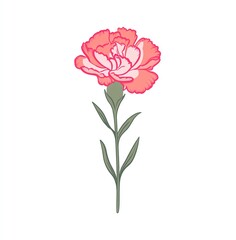 Obraz premium Elegant Pink Carnation Flower Illustration, Delicate Petals, Simple Stem, Clean White Background, Botanical Art, Nature Inspired Design.