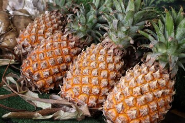 Close up of pineapple tropical fruit