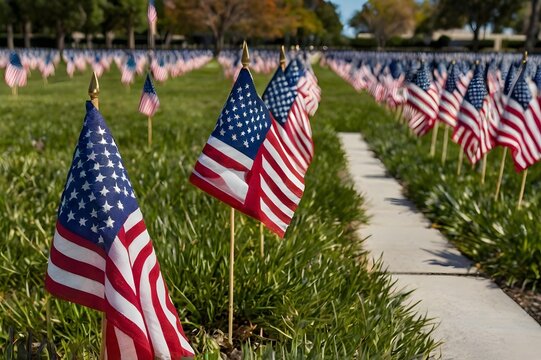 A display of American flags in honor of all our veterans on Veterans Day.