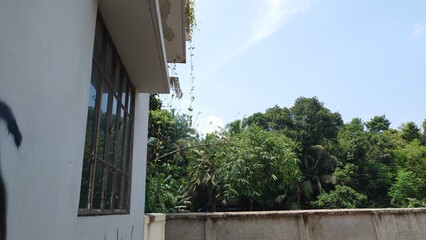 window with a balcony