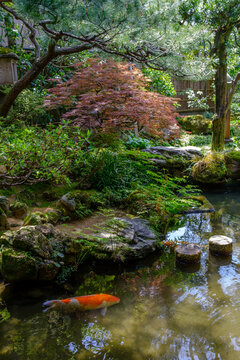 Peaceful historical natural park in Japan