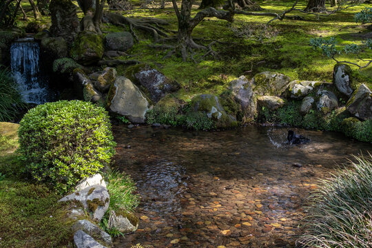 Peaceful historical natural park in Japan
