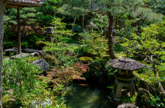 Peaceful historical natural park in Japan
