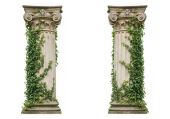Two ionic columns with ivy vines isolated on transparent background