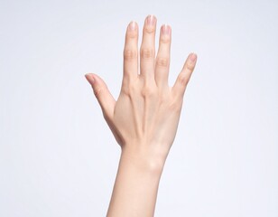 綺麗な手のひら