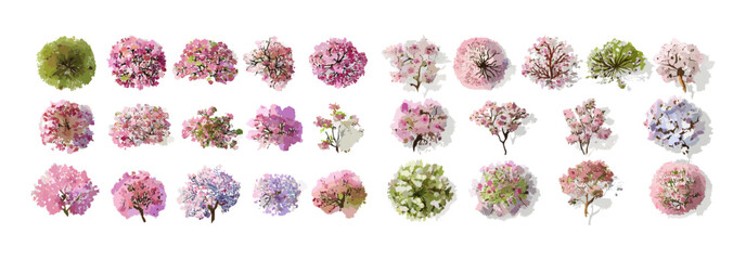 Spring blooming tree top view, vector illustration, watercolor garden design, isolated botanical element for architecture layout, environment concept, foliage plan, png. © aura studio