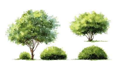 Side view green tree, watercolor tree elevation for spring garden, vector illustration, isolated on white background, environment scene, eco landscape design, natural element.