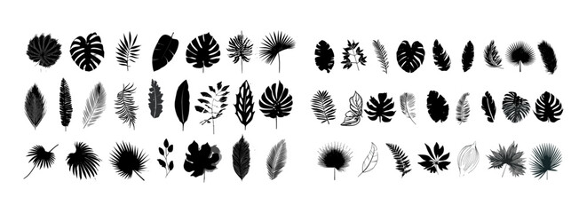 Palm leaves silhouettes, tropical leaves, leaf vector, black shapes, artistic embellishments, design elements, jungle foliage vector illustration, cutout, exotic greenery. © aura studio