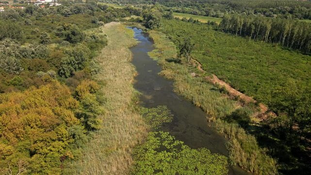 Discovering the beauty of Bara Reva, exploring the serene river and lush greenery in a tranquil landscape