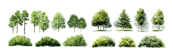 Isolated watercolor forest tree, green shrub from side view on white, vector illustration for environment, landscape garden art, natural element, plant design for architecture. © aura studio