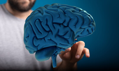 3D model of human brain. Ideal for neurology, neuroscience, and cognitive function concepts.