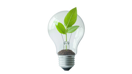 light bulb with green plant symbolizing green energy concept on white background