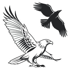 Fototapeta premium A striking black silhouette vector illustration of a flying eagle with outstretched wings, symbolizing freedom and wildlife