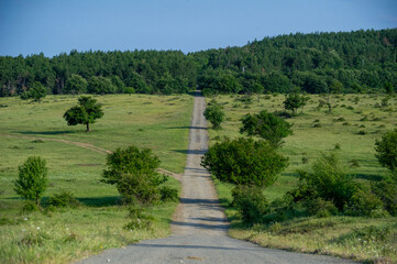 road in the countryside in the mountains in Bulgaria