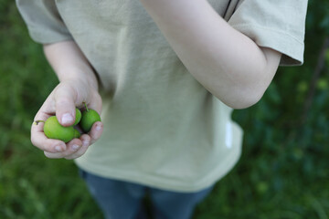 Child holds green fruit in hand while standing in lush greenery outdoors