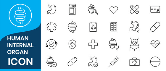 Human Internal Organs icon. Organ, Respiratory Health, Urinary Health, Inner Vitality, Organ Wellness, Immune Health, Digestive System, Digestive Health, Respiratory System, Body Vitality.