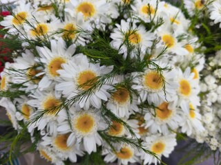 Close-up photo of a bouquet of daisies