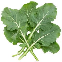 Fresh Collard Greens Bunch, Ideal For Healthy Eating.