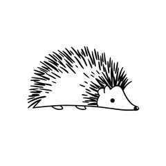 A minimalist drawing shows a stylized hedgehog with defined quills in black outline