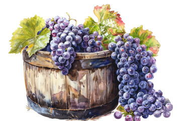 Watercolor Painting Of Purple Grapes In A Wooden Barrel With Grape Leaves.