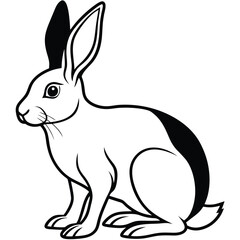 A black and white rabbit sits patiently looking off to the side