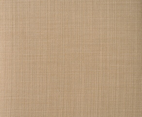 Fototapeta premium Texture of a piece of cloth