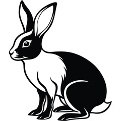 A black and white rabbit with long ears sits peacefully looking toward the left